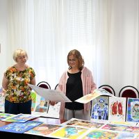 concurs de desene